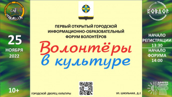 Волонтеры в культуре